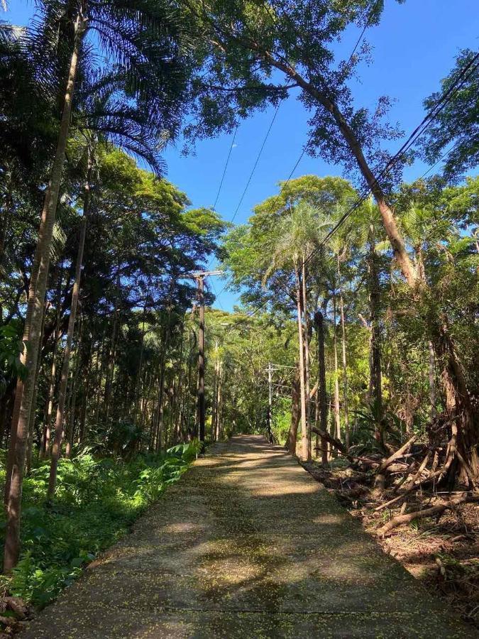 Momarco Forest Cove تاناي المظهر الخارجي الصورة