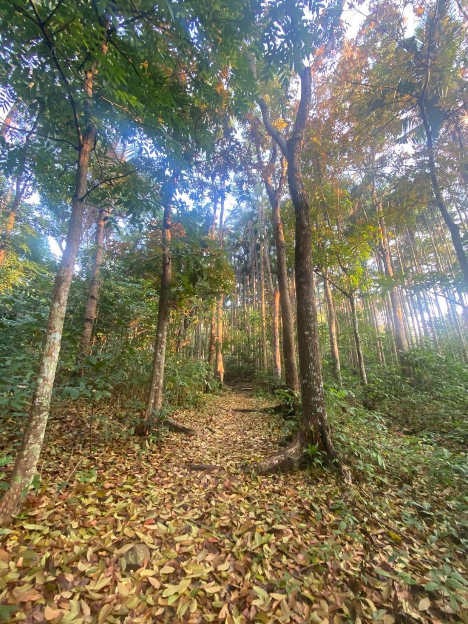 Momarco Forest Cove تاناي المظهر الخارجي الصورة
